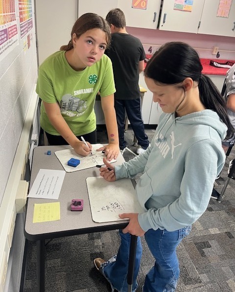 two students working on the math activity