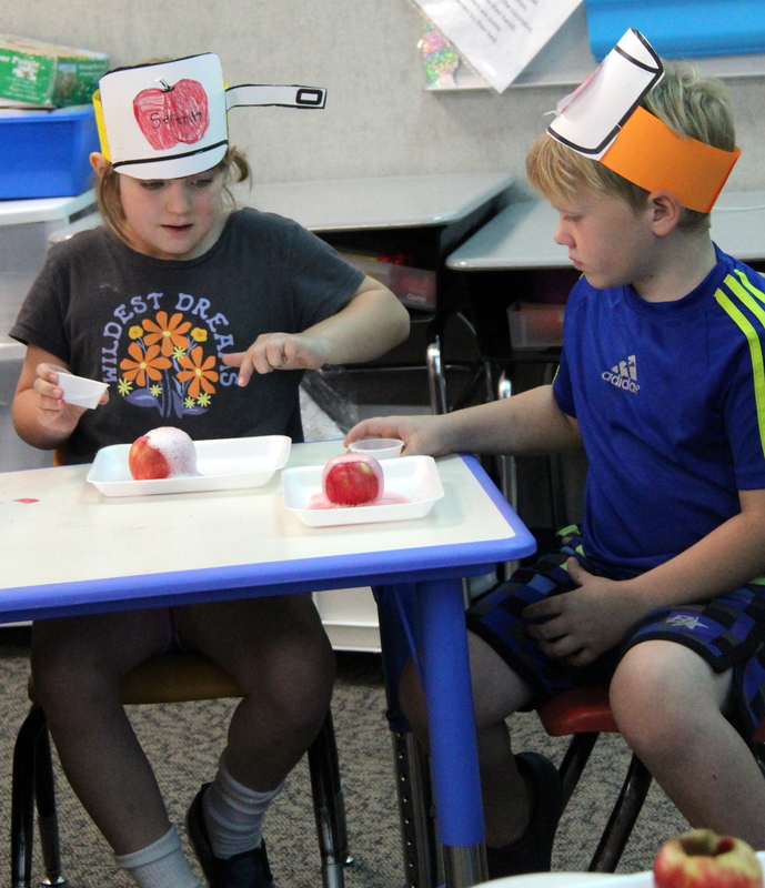 two students with apples completing a science experiment