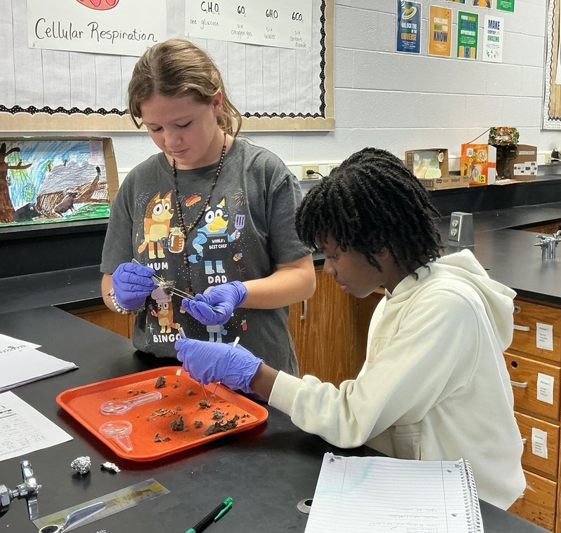 two girls dissecting owl pellets