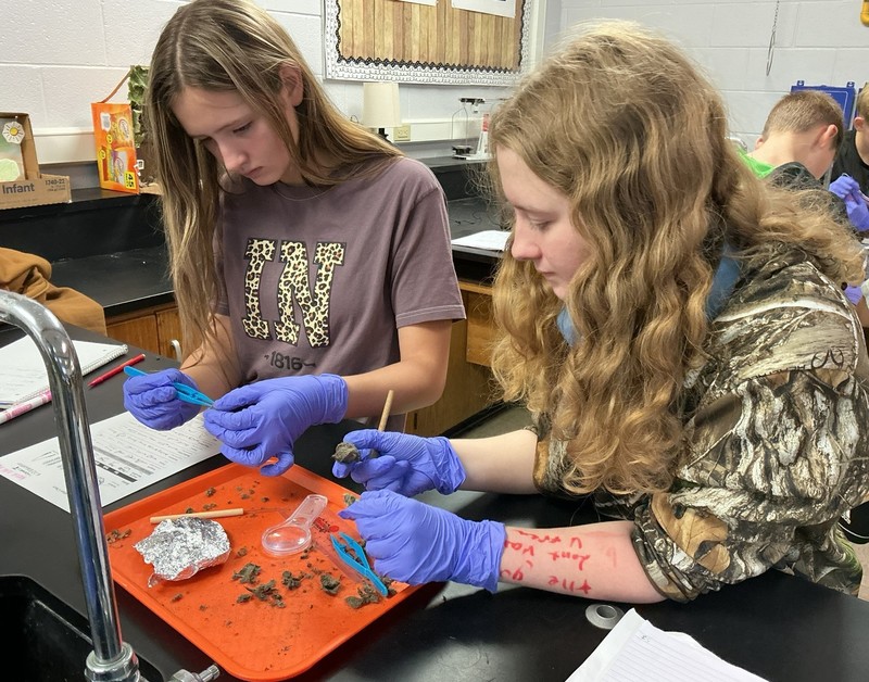 two girls dissecting owl pellets