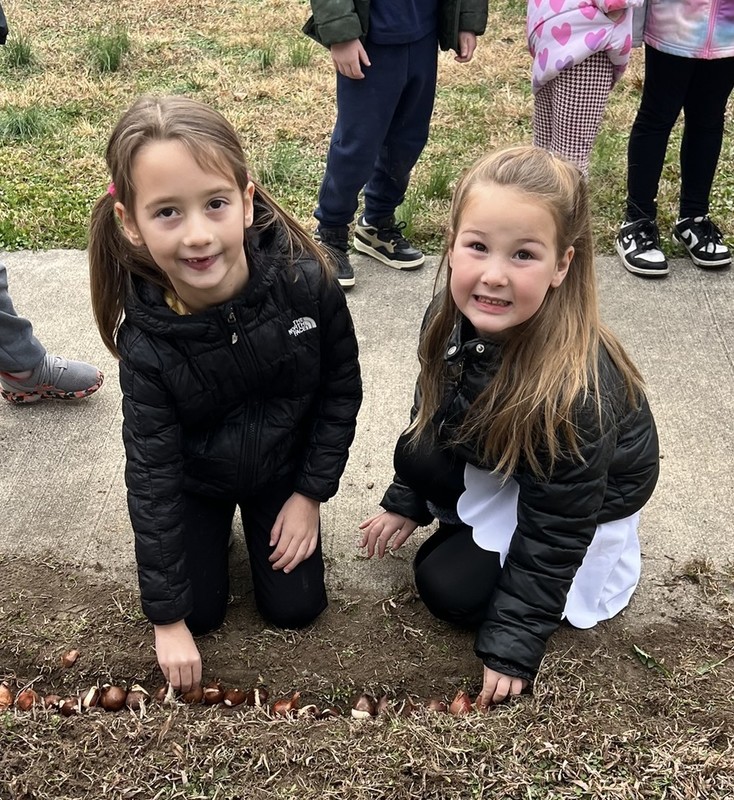 two students planting tulip bulbs