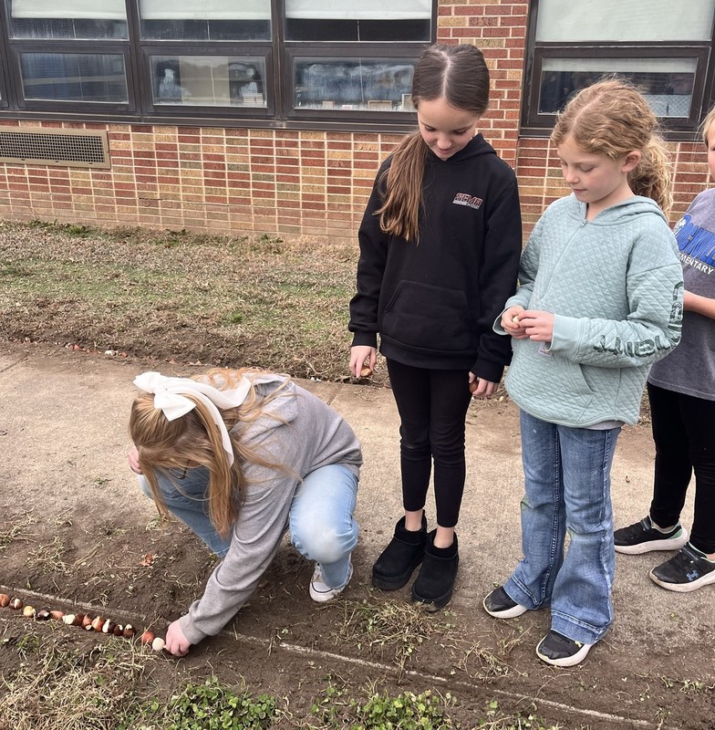 students planting tulip bulbs