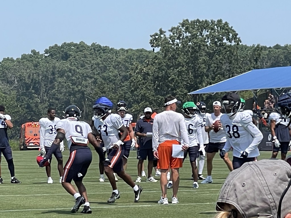 Bears