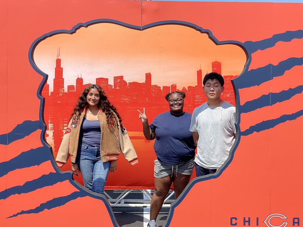 Bears