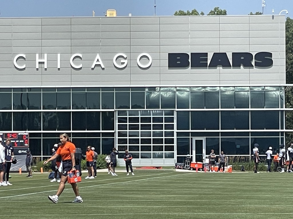 Bears