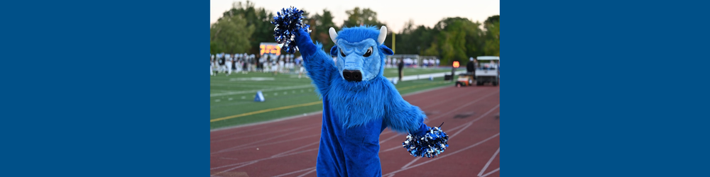 Help the Bison Get a Name!