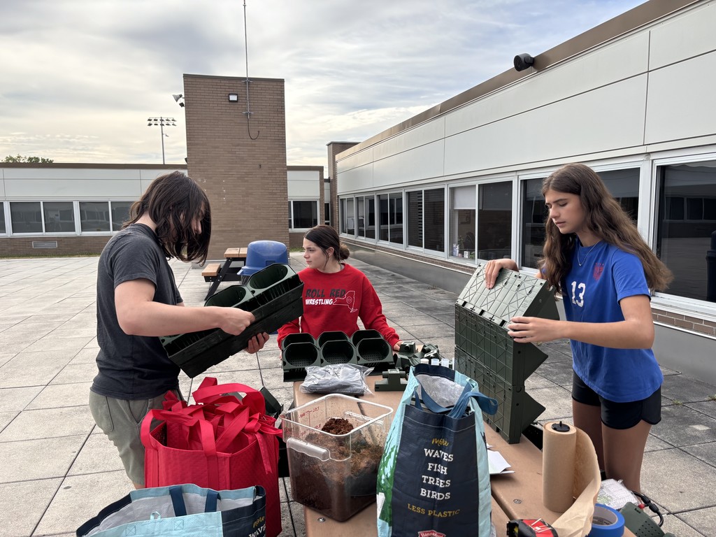 Students plant and create the new vertical garden