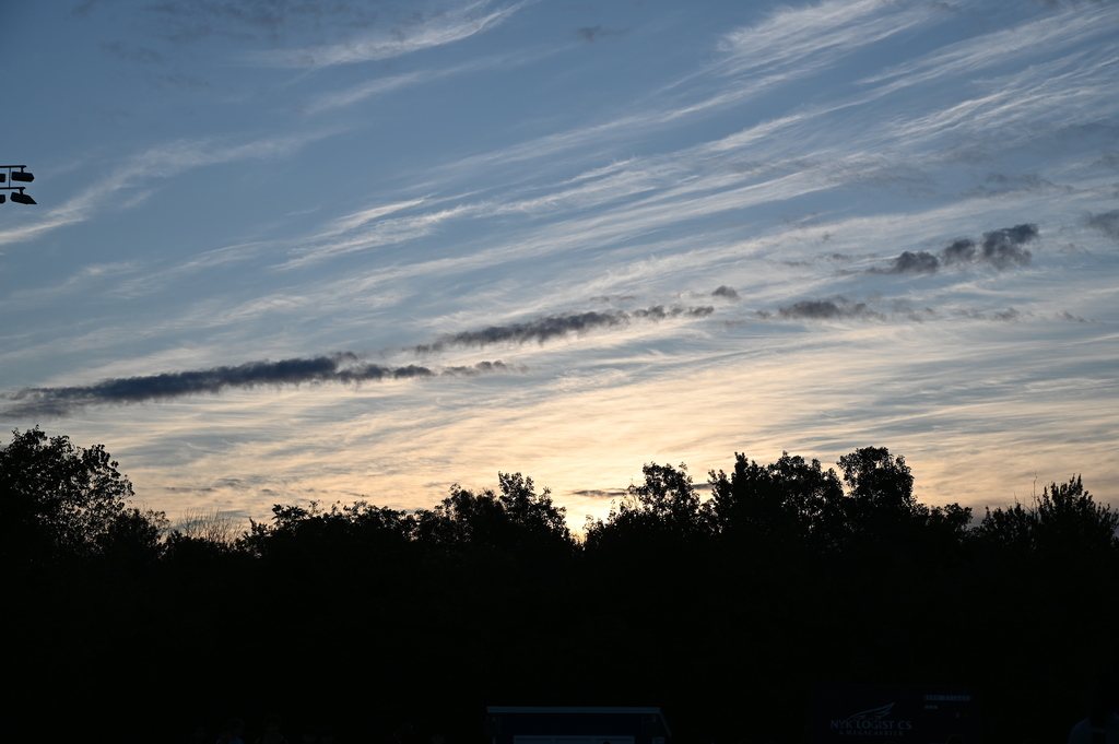 A photo of the sun rising from behind the trees.