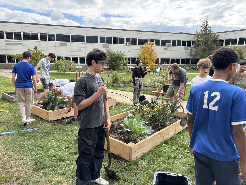Students gardening