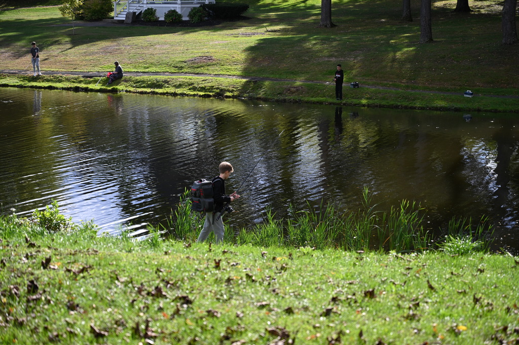 Town Hall Pond