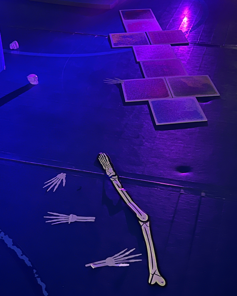 Set up for the Unified/Adapted Physical Education class