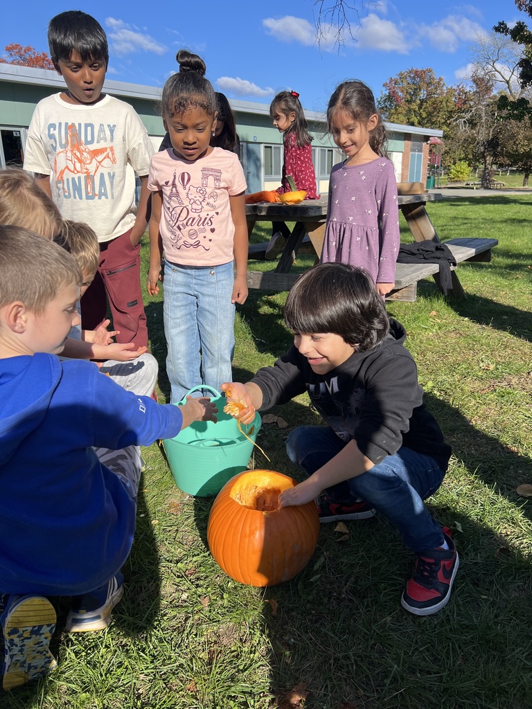 Pumpkin party at Boght Hills