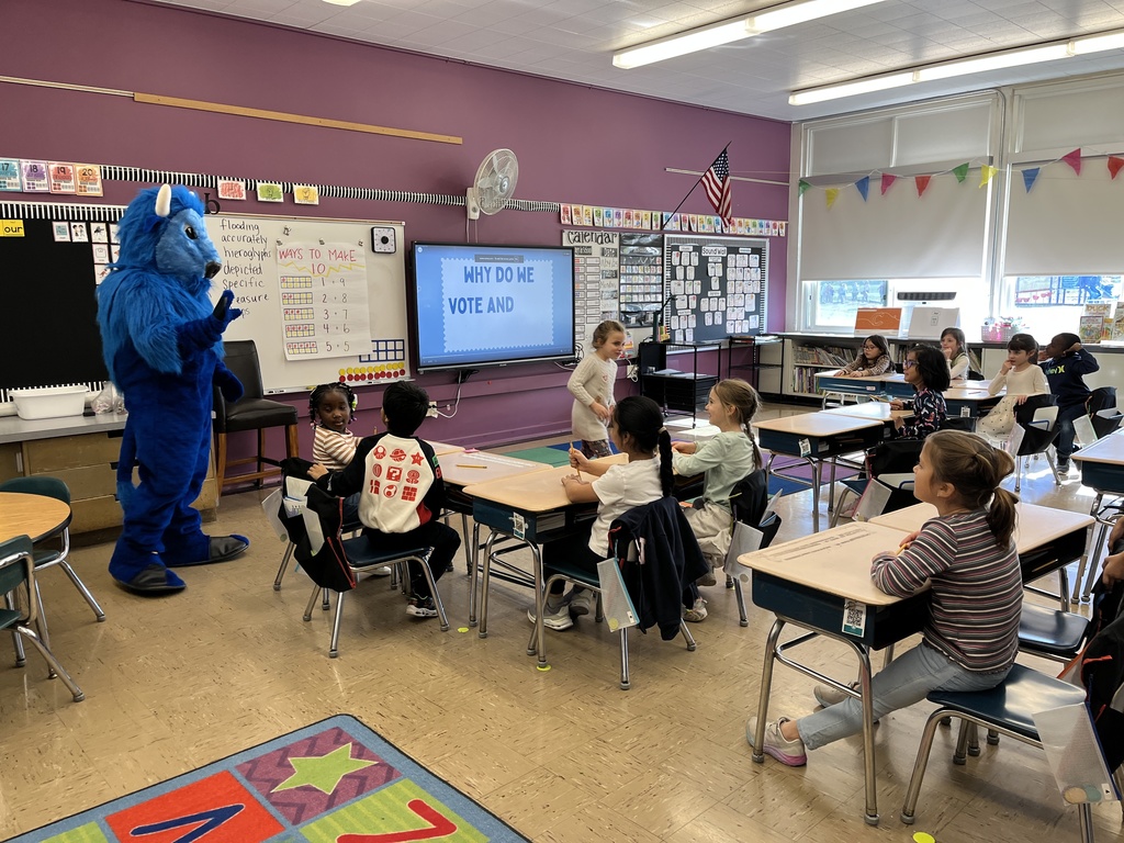 Bison vote in the classroom