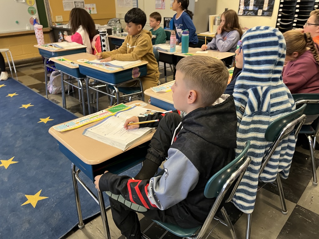 Bison vote in the classroom