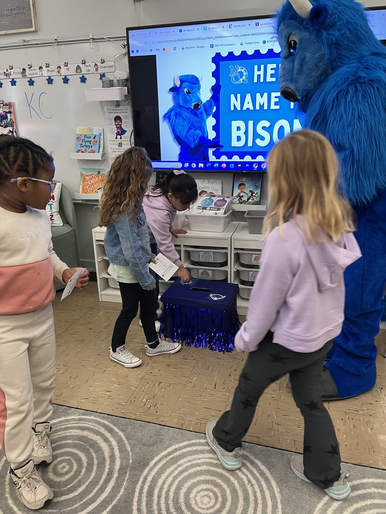 Bison vote in the classroom