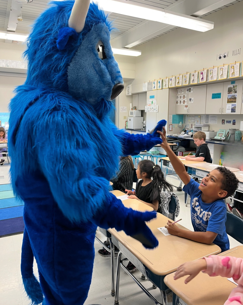 Bison vote in the classroom