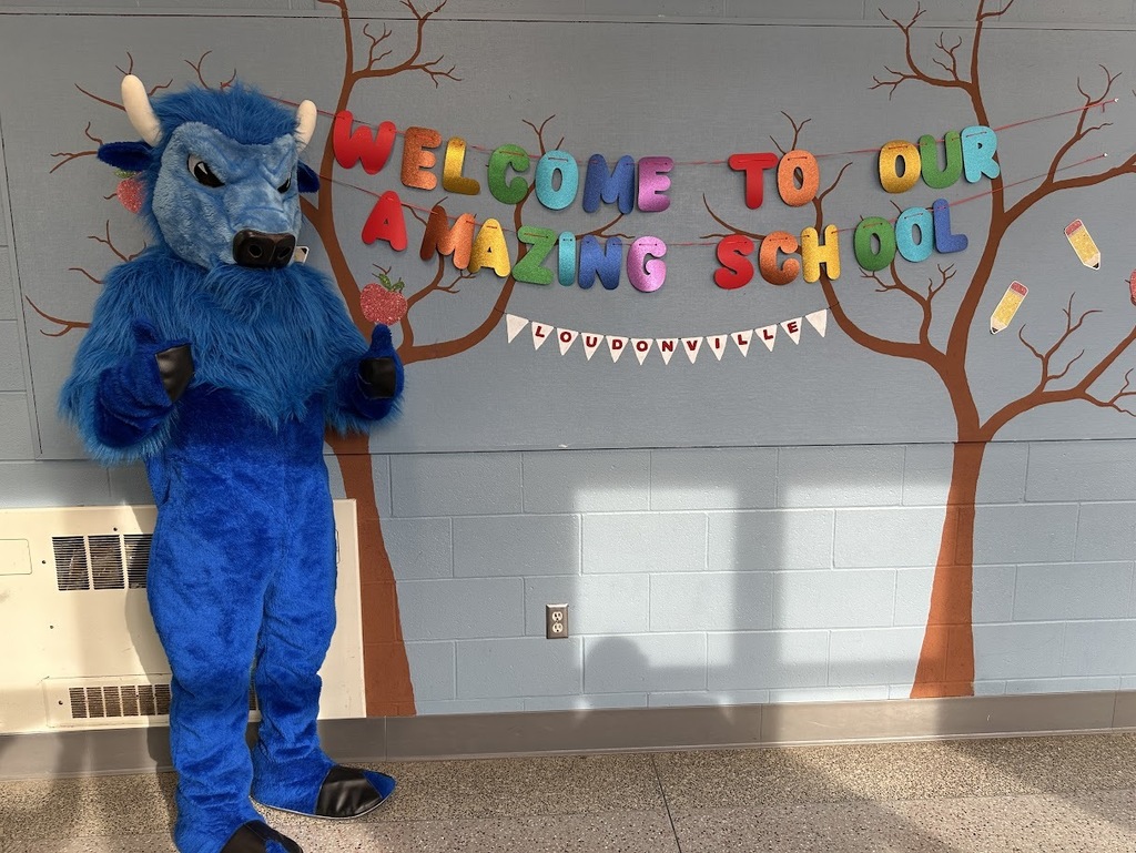 bison visit to loudonville