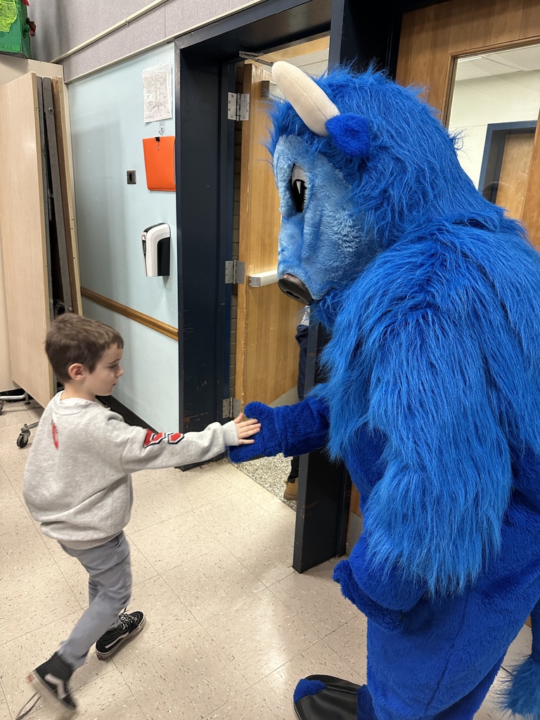 Bison latham ridge visit