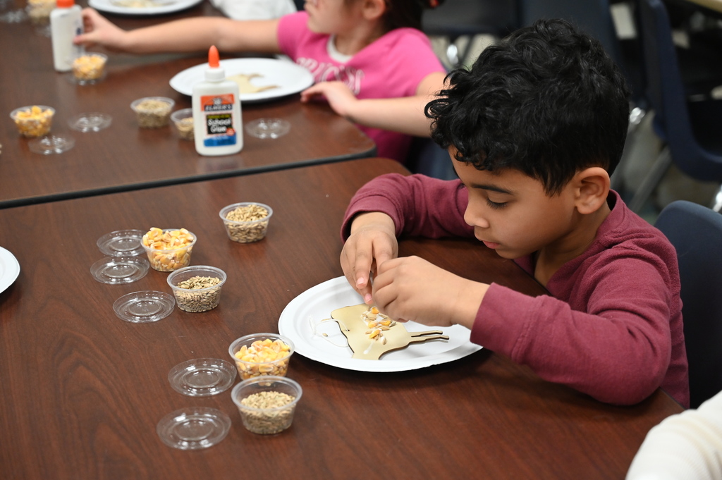 A student decorates a cow cut-out using corn and grain.