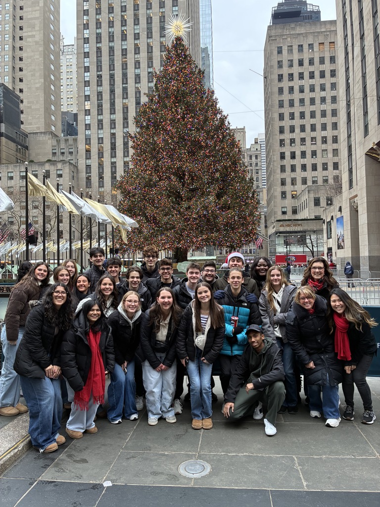 Cast of Mama Mia Sees the Tree!