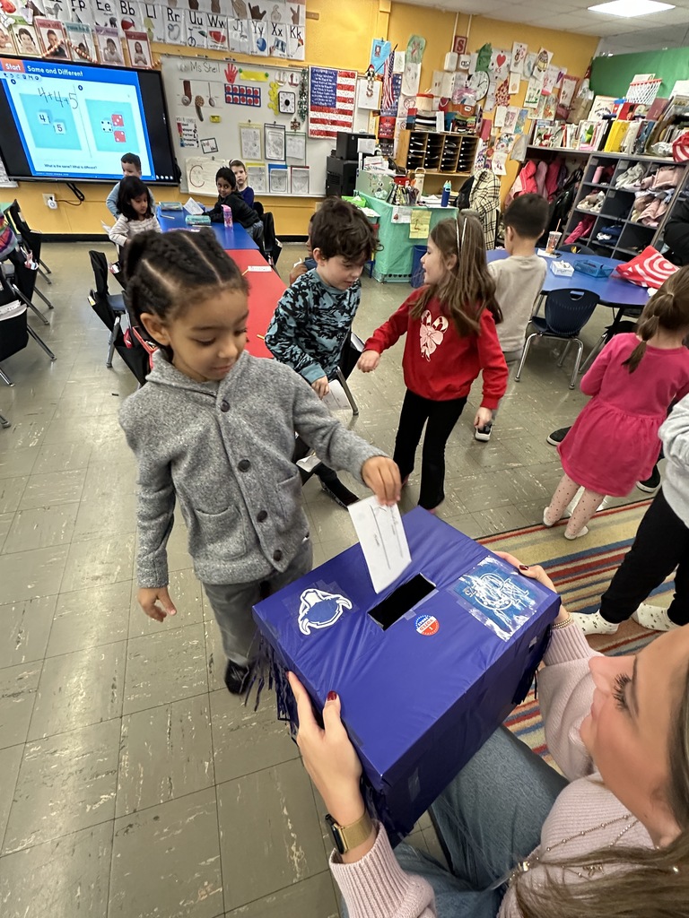 A student places a ballot in the ballot box.