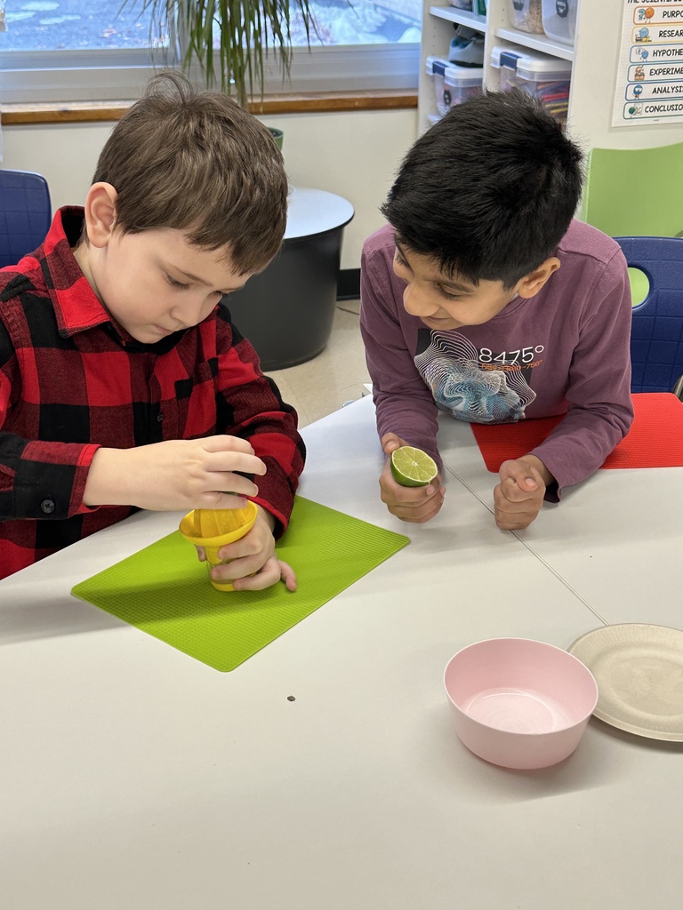 Students squeeze limes