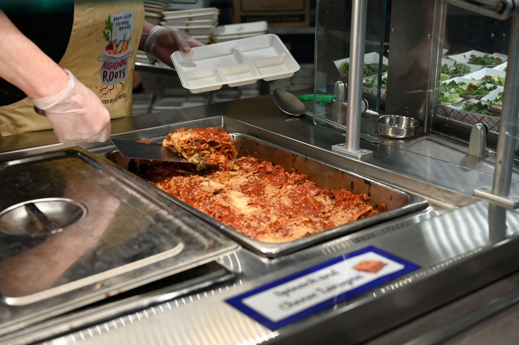 spinch and cheese lasagna