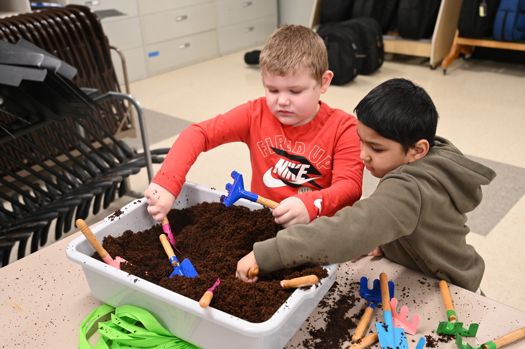 Two students use hand shovels to dig for potatoes in a plastic bin of coco coir.