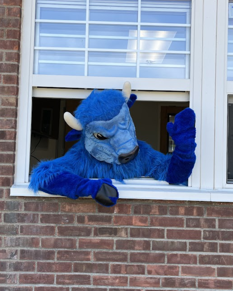 Bison waves through a window