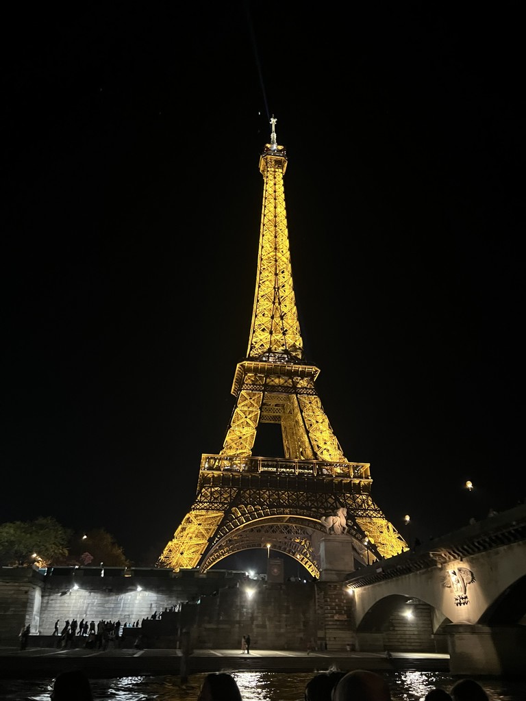 The Eiffel tower lit up at night.