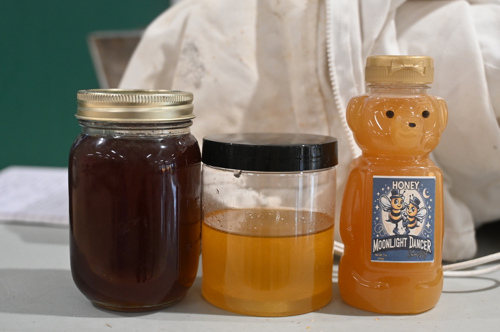Three different shades of honey in jars.