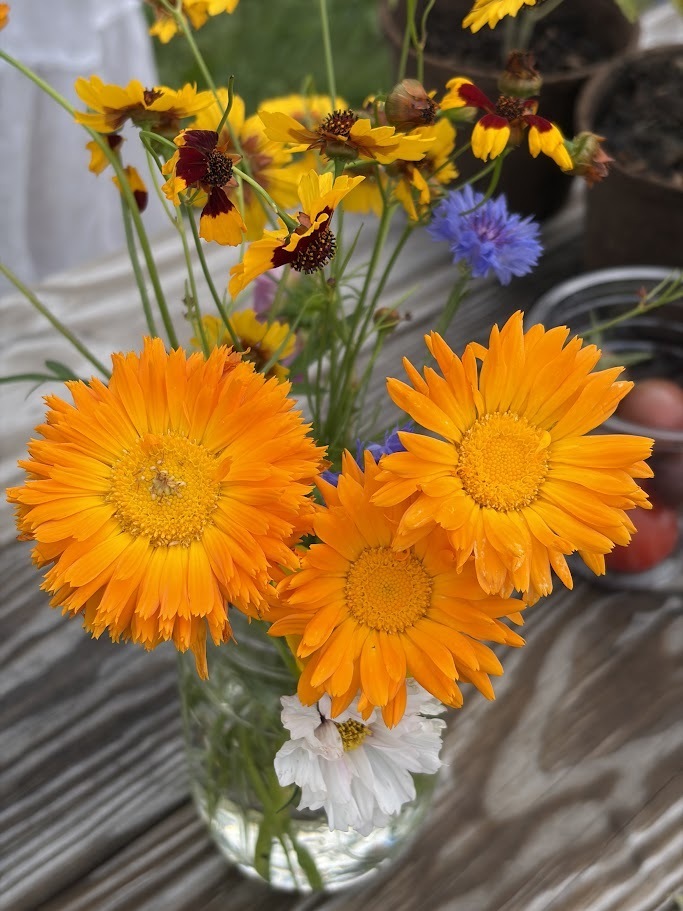 Flowers