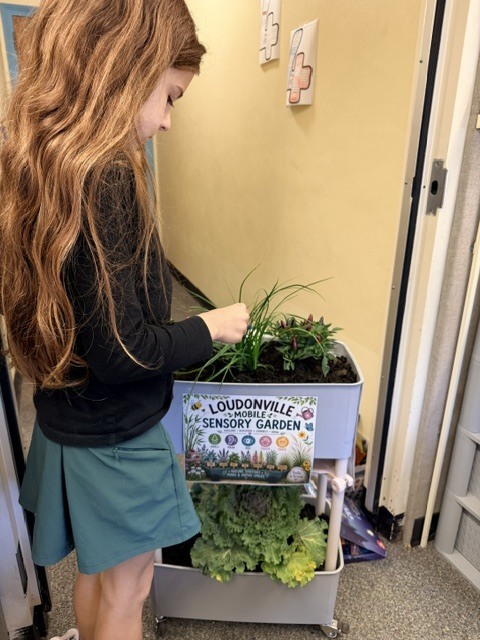 student touching plants at loudonville