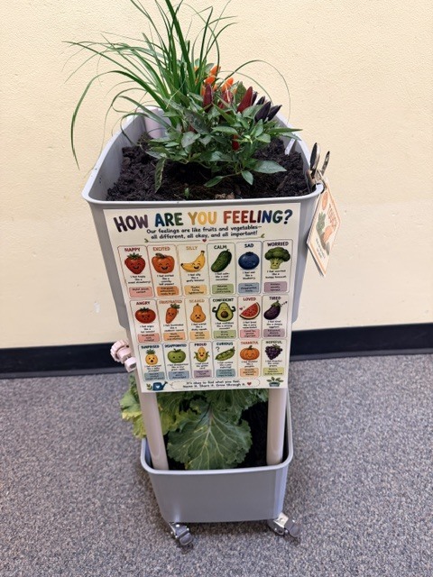 sensory garden at loudonville