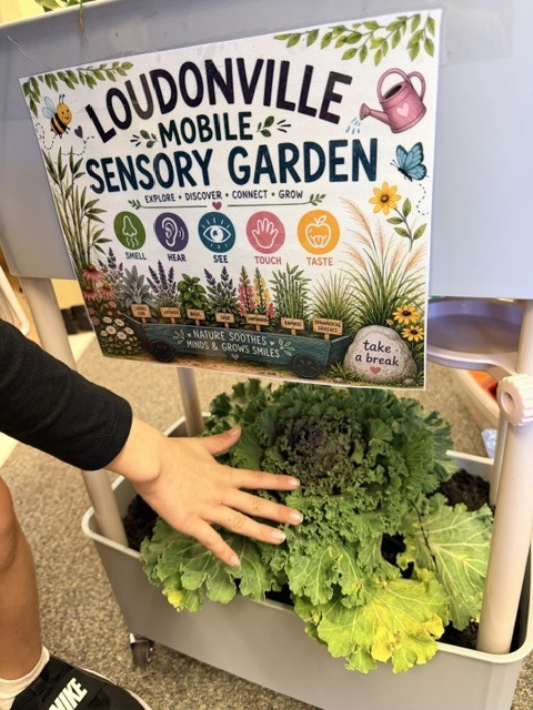 sensory garden at loudonville sign sharing it is a mobile sensory garden