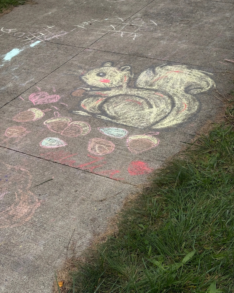 Squirrel chalk art