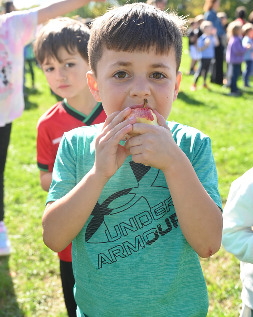 BC students participate in the Big Apple Crunch