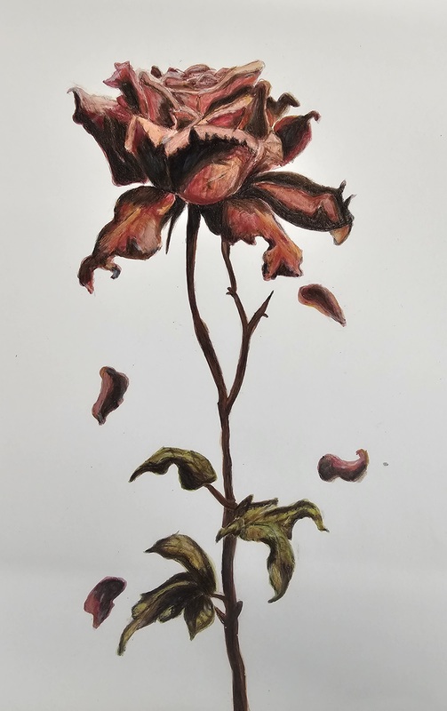 A work of art depicting a flower with leaves and petals falling down.