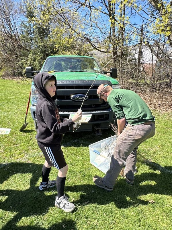 One Loudonville student picks up a sapling to take home.