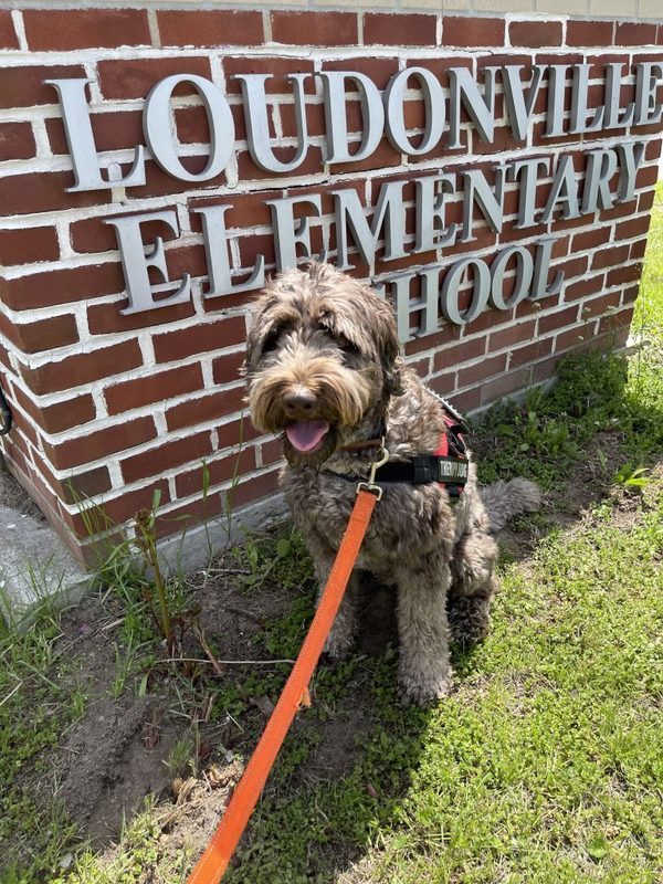 Therapy dog with students