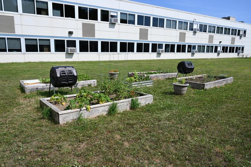 Four raised garden beds grow during the summer at Shaker Middle School.