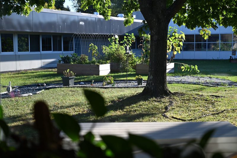 Looking out over the Latham Ridge Garden and Outdoor Learning Space.