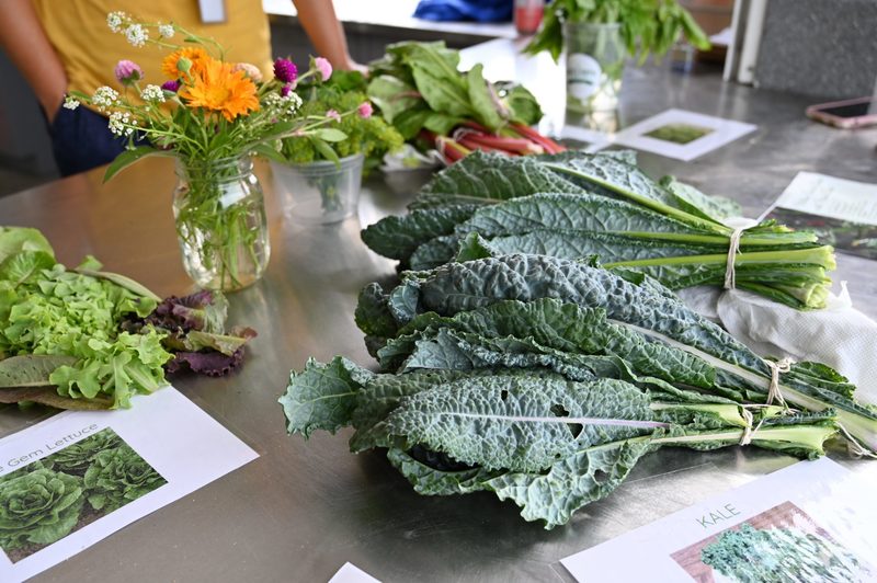 Kale, flowers and other produce picked from the North Colonie district gardens.