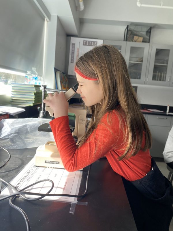 A seventh grade student at Shaker Middle School studies a slide under a microscope.
