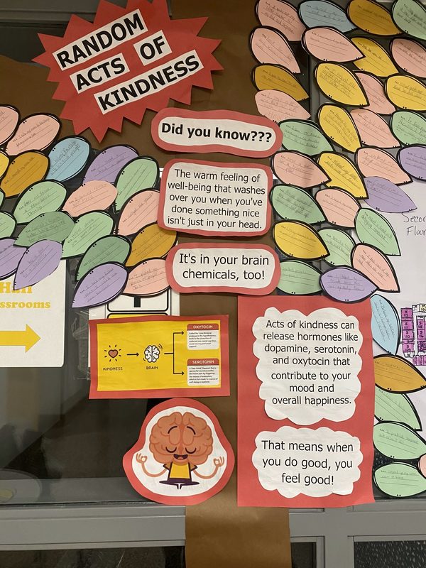 Seventh grade students worked on a science project that focused on the good feelings resulting from “happy neurotransmitters” that are released when we connect through kindness.