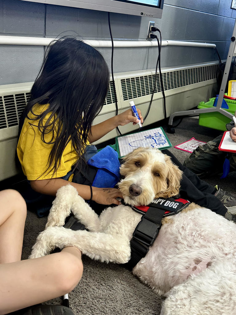 Newton the mathematician