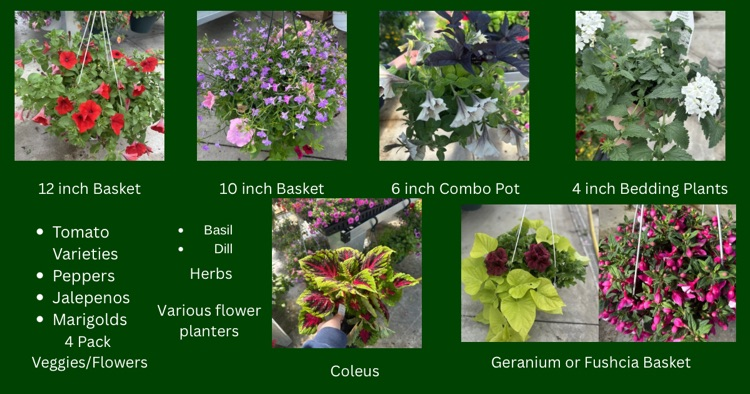 greenhouse 