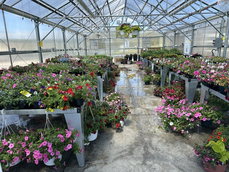 greenhouse 