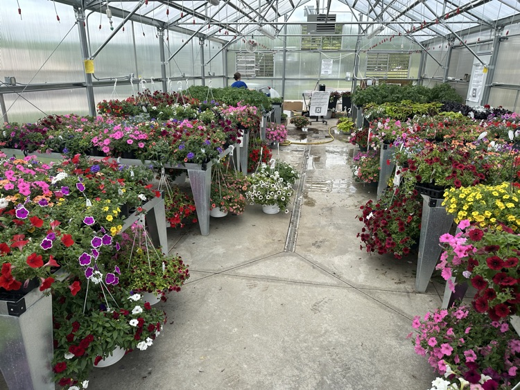 greenhouse 