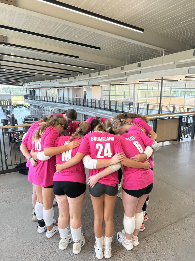 Vball team